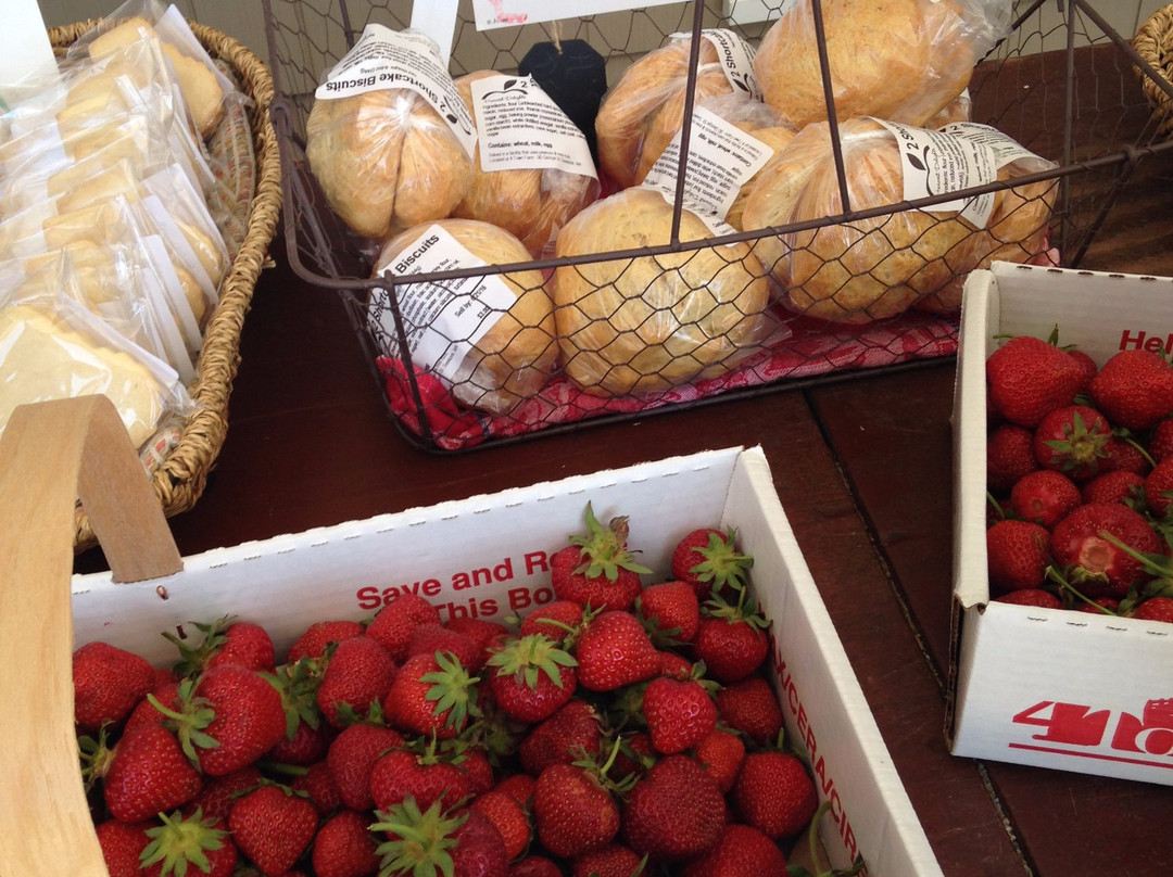 Four Town Farm-Seekonk必去景点