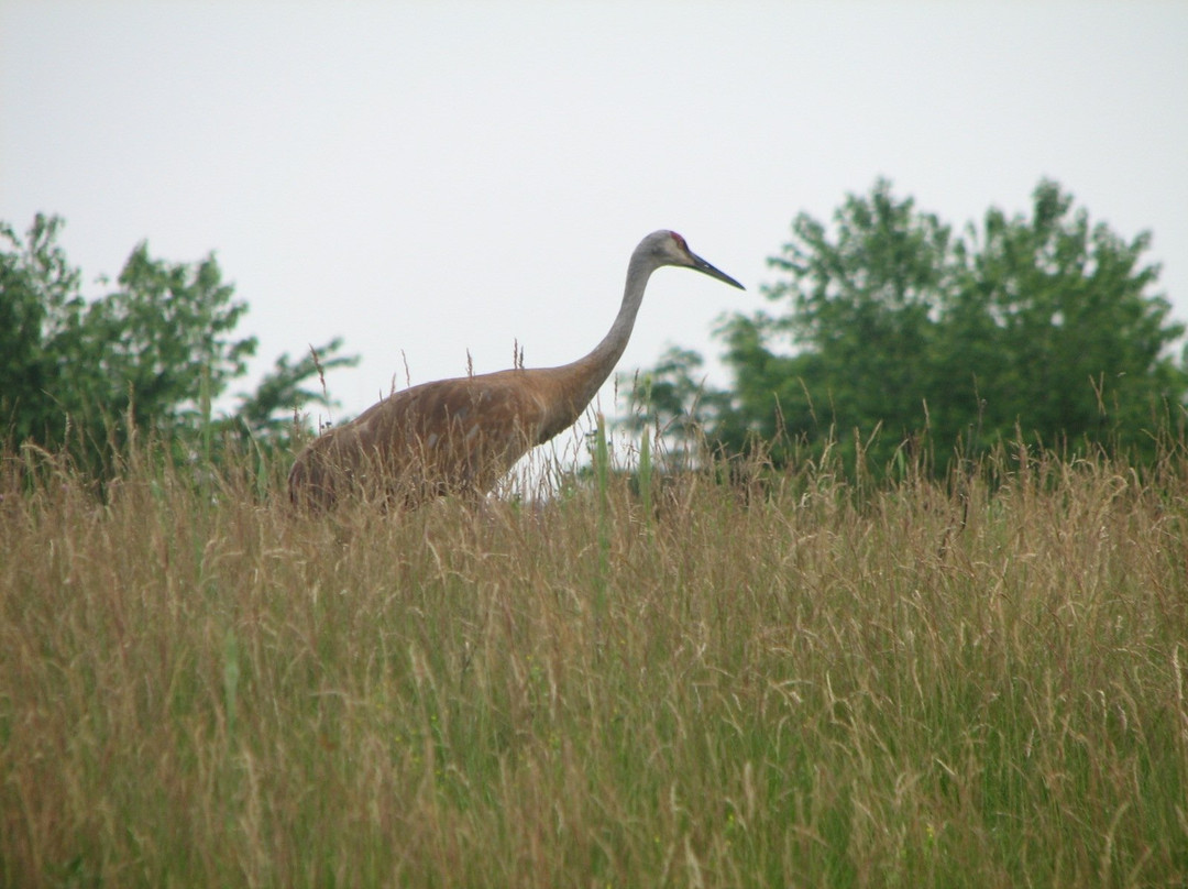 Fox River Park-沃基肖必去景点