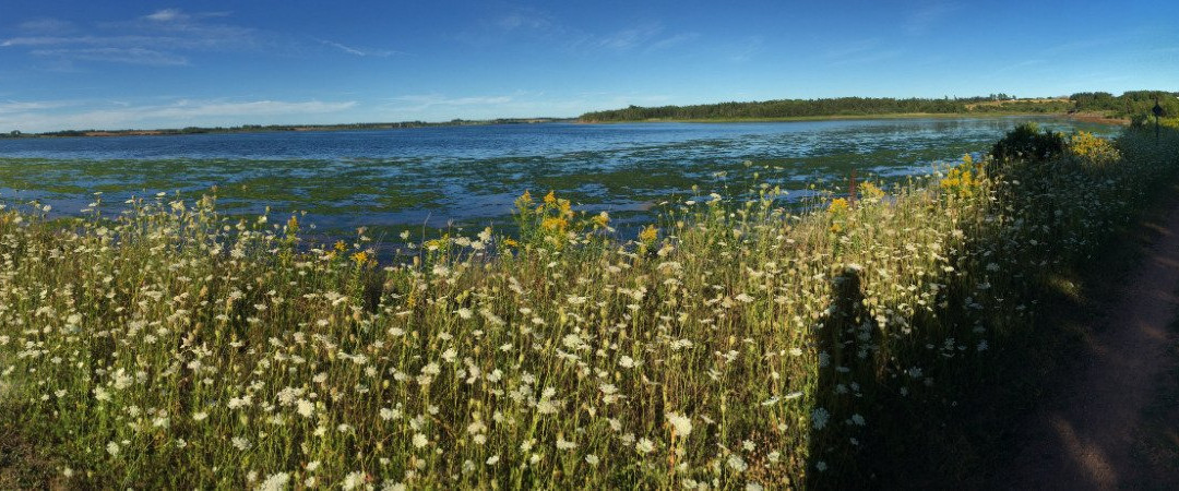 Kingfisher Outdoors-Morell必去景点