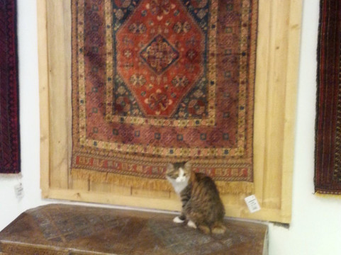 Oasis Gallery-亚兹德必去景点