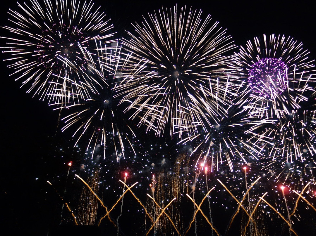 Koga Fireworks-古河市必去景点