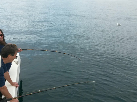 Seward Charters-苏厄德必去景点