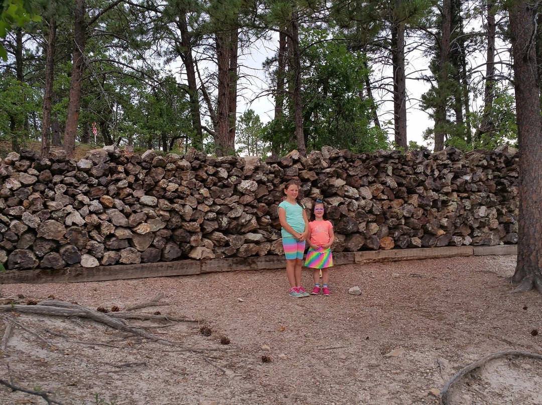 Petrified Forest of the Black Hills-Piedmont必去景点