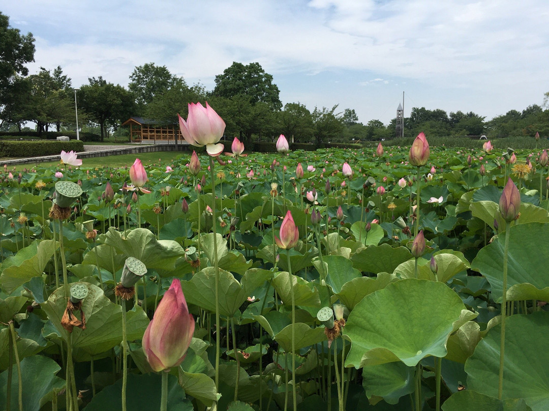 Heiseinomori Park-川岛町必去景点