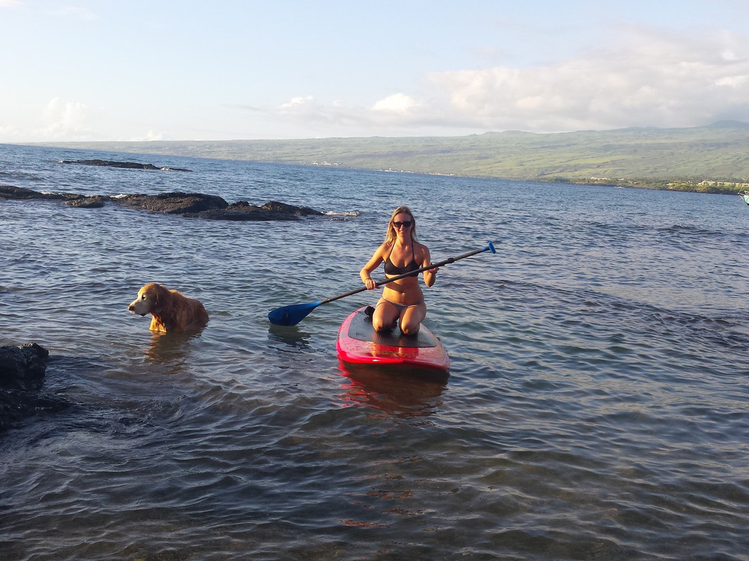 Lat 20, LLC-普阿克必去景点