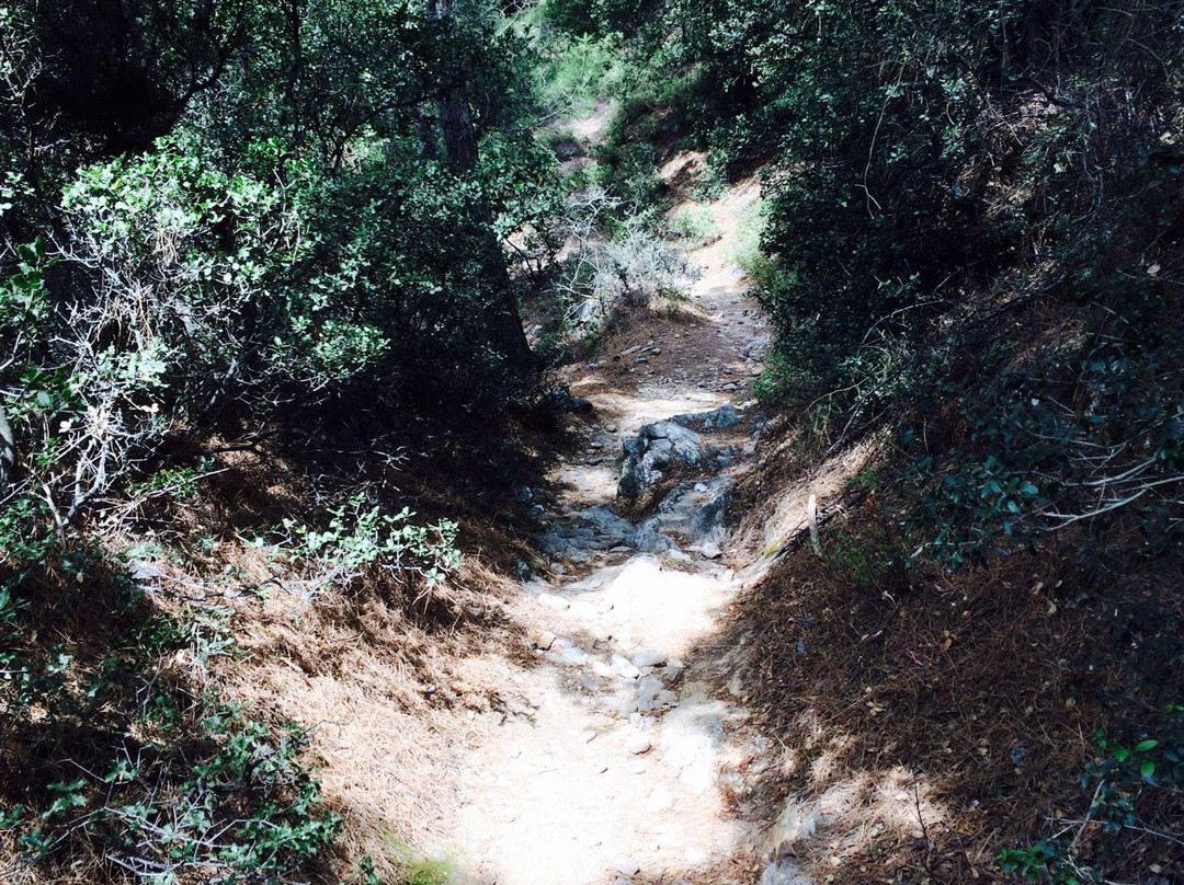 Mount Kerkis-Marathokampos必去景点