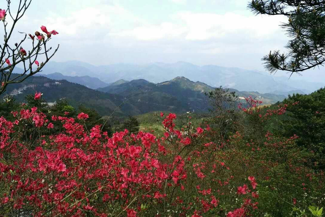 金华磐安高姥山-磐安县必去景点