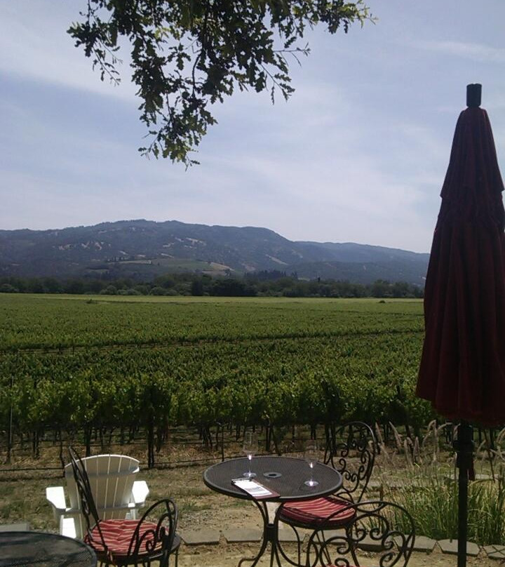 Rivino Winery景点图片