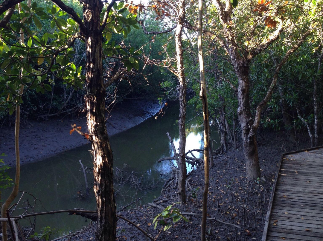 The Jack Barnes Bicentennial Mangrove Boardwalk-爱罗格伦必去景点