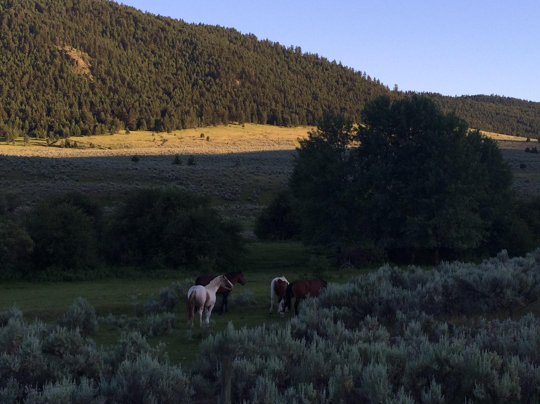 Jandana Ranch-坎卢普斯必去景点