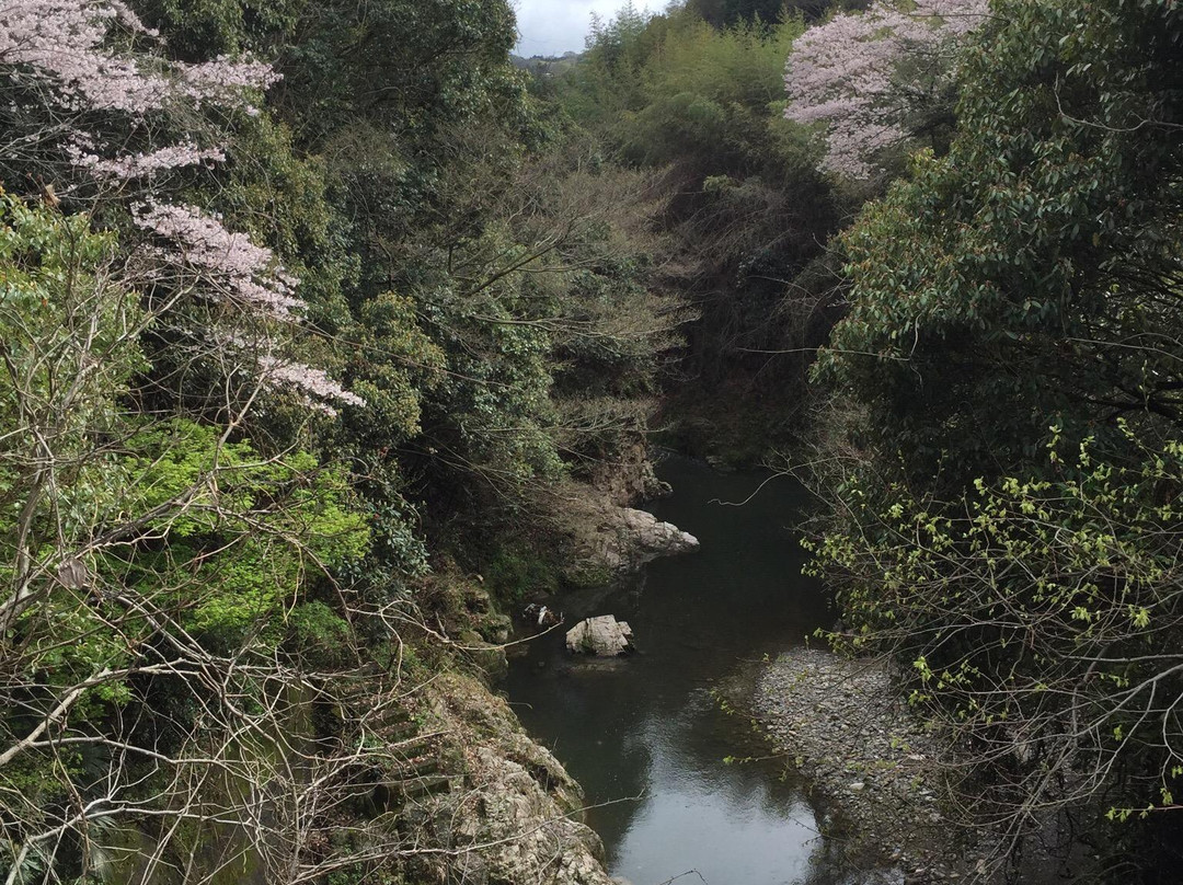 Hinen Shrine-泉佐野市必去景点
