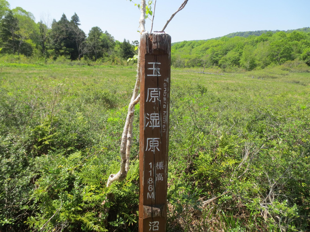 Mizubasho主图