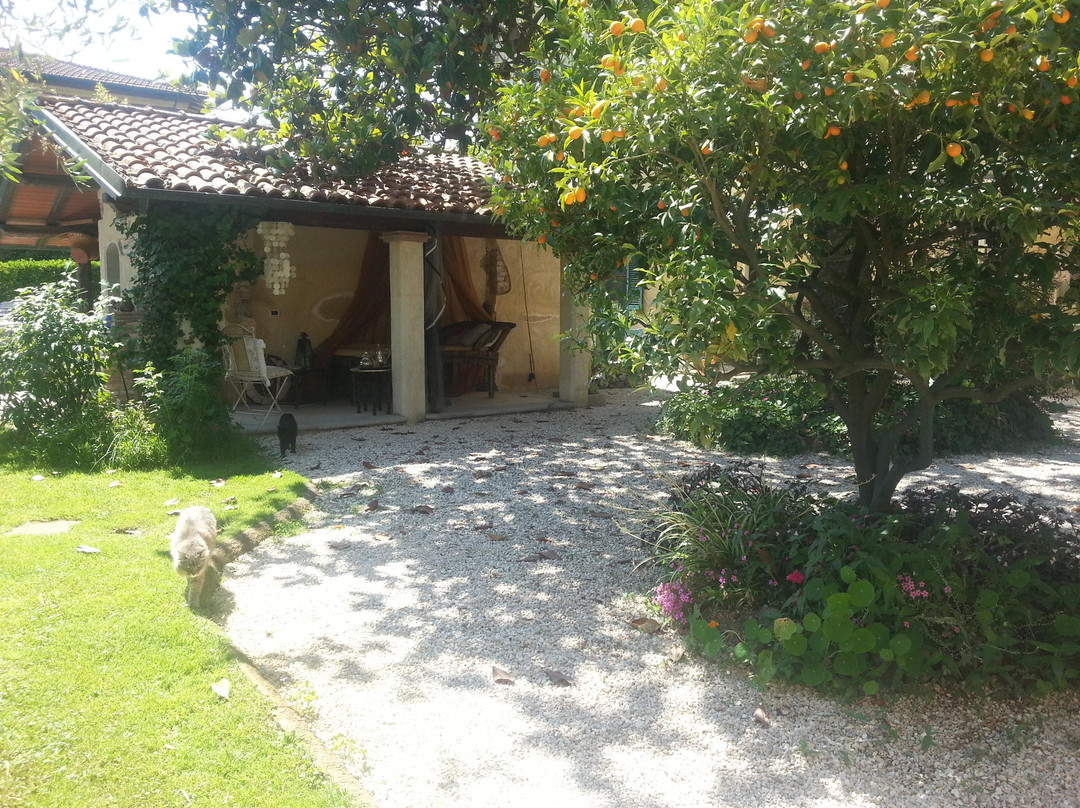 Casa Simonetti