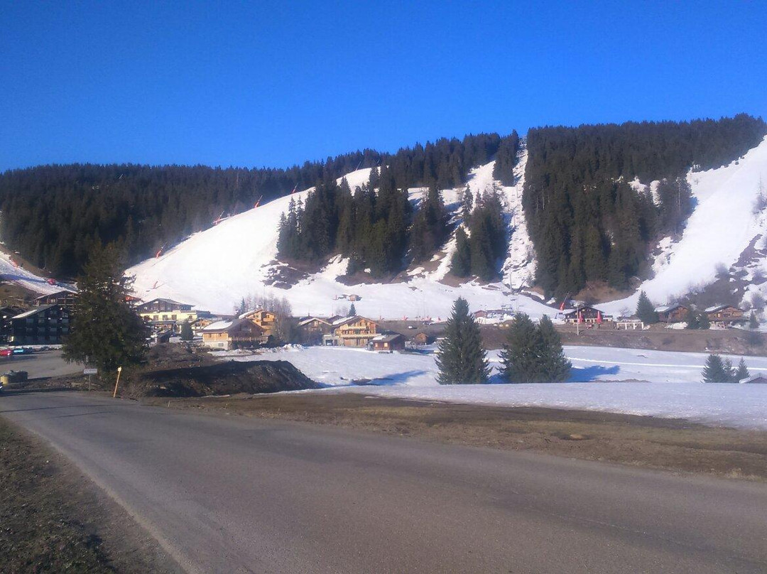 Les Saisies旅游攻略图片