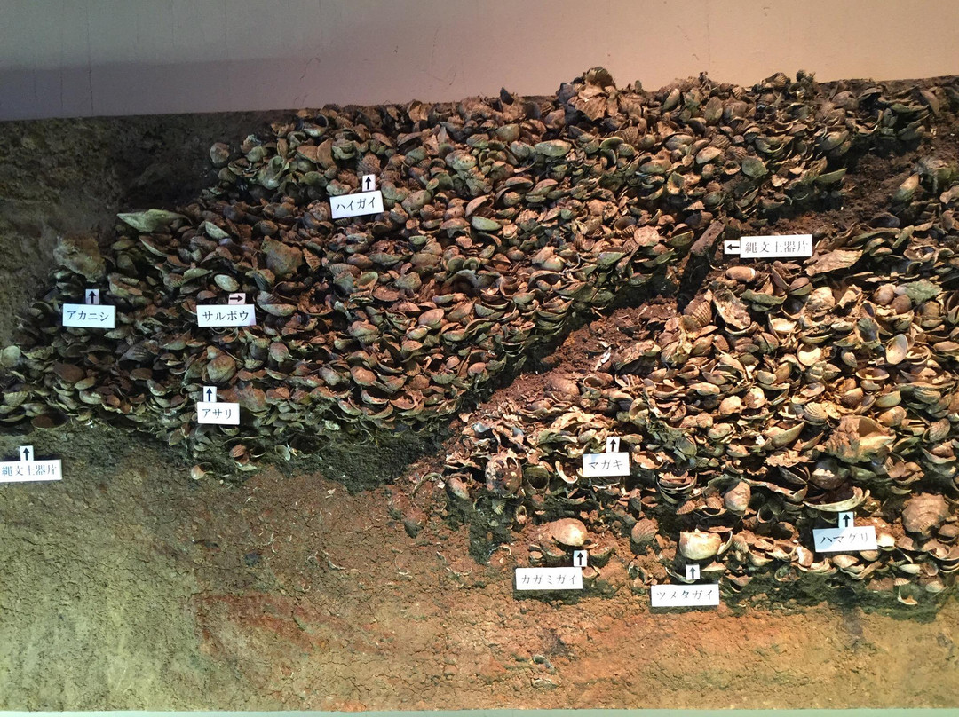 Tobinodai Historic Park Museum-船桥市必去景点