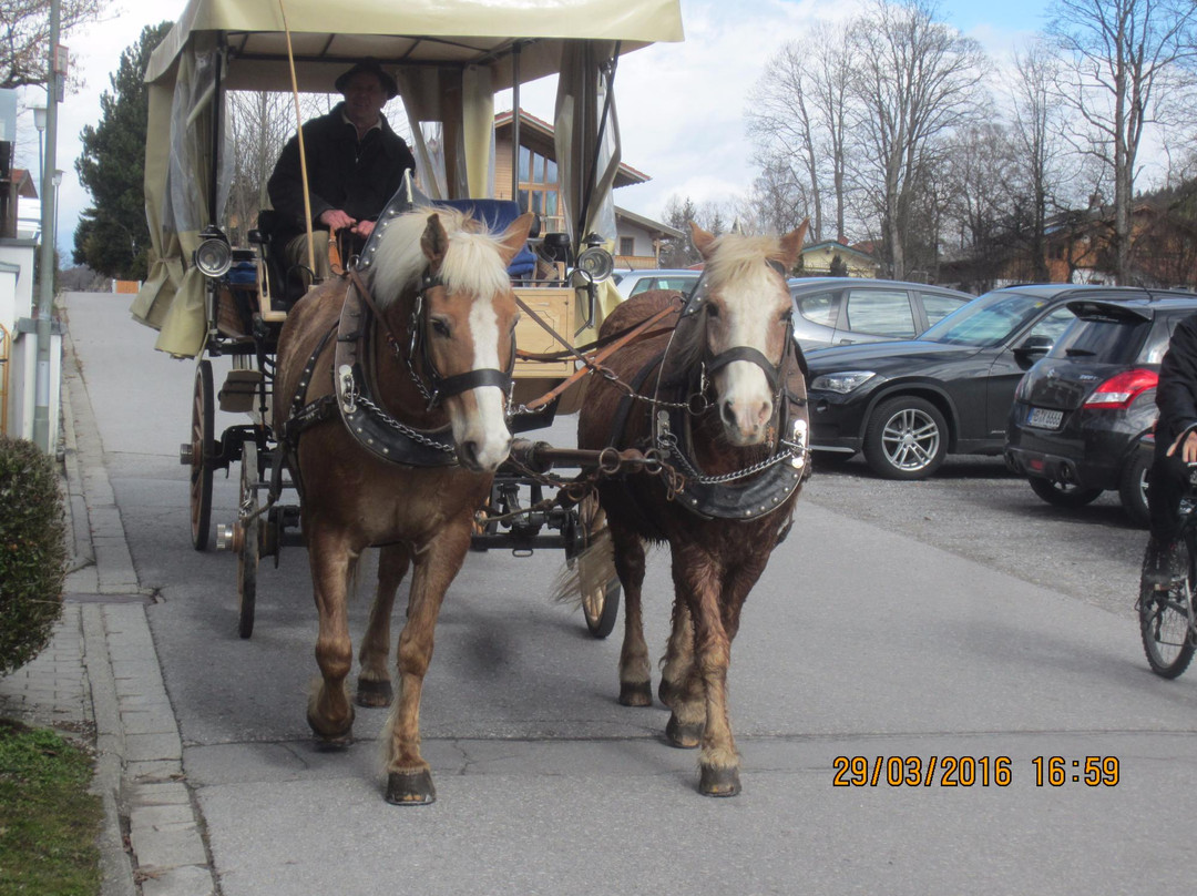 Hydroalpin Day Tours-Lenggries必去景点