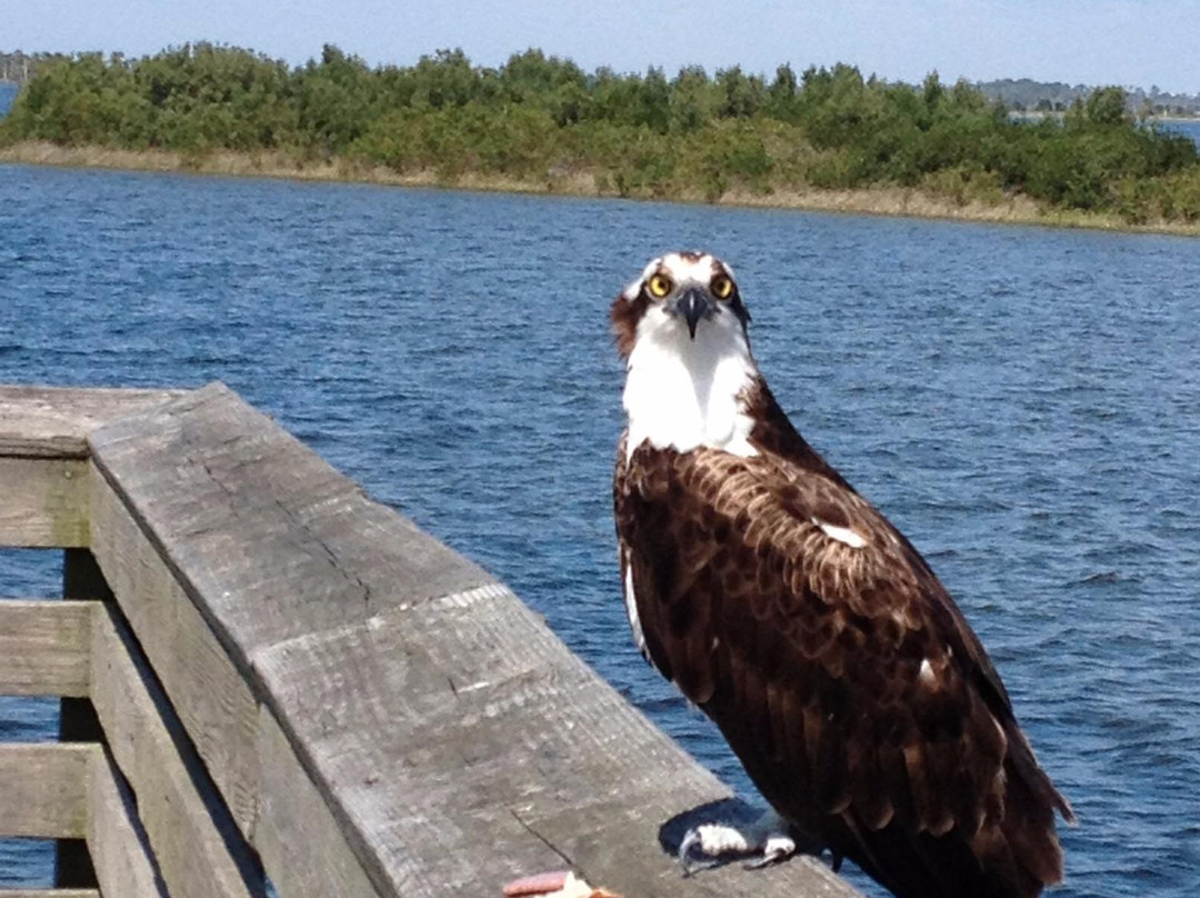 Fort Island Trail Park-克里斯特尔里弗必去景点