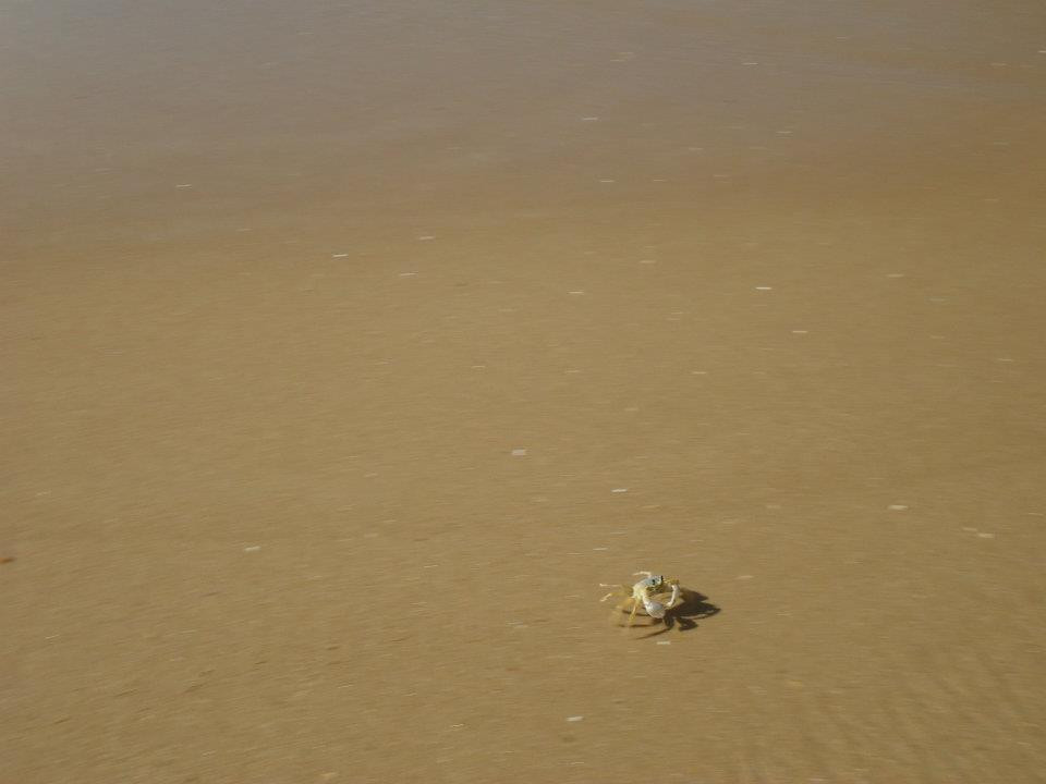 Abrico Beach景点图片