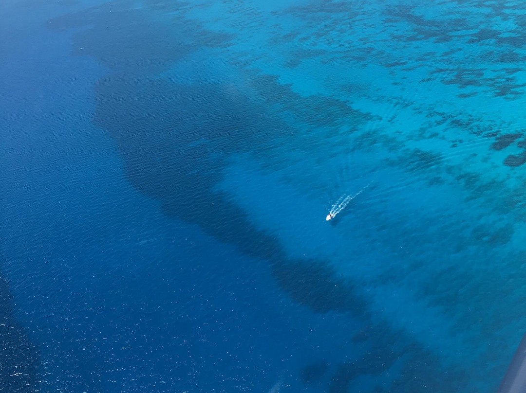 Duck Key Charters-Duck Key必去景点