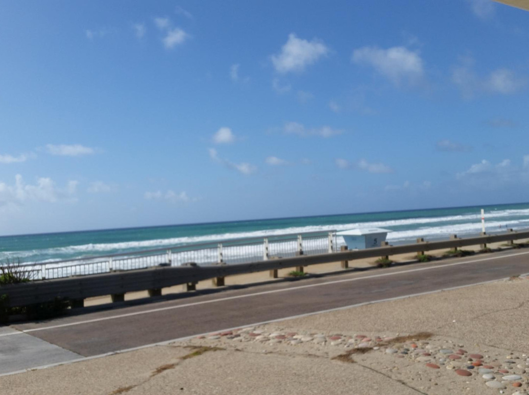 Cardiff State Beach-恩西尼塔斯必去景点