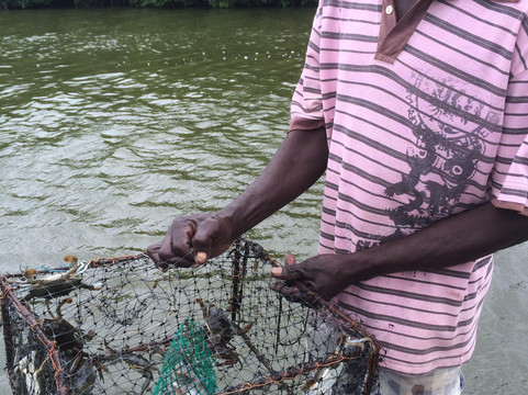 Scarlet Macaw Trips-卡塔赫纳必去景点