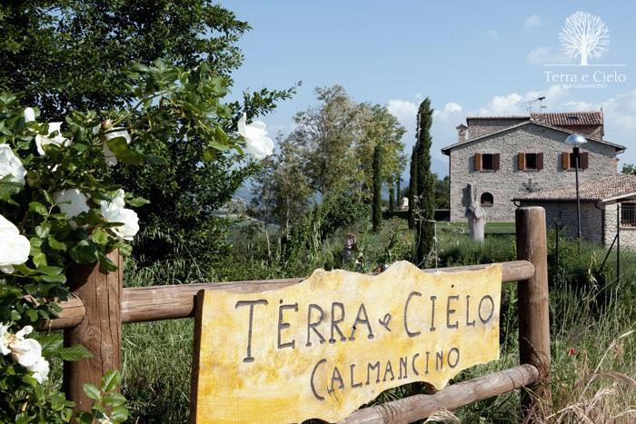 Terra e Cielo B&B Calmancino