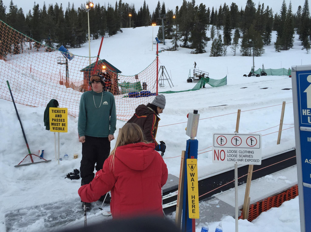 Mount Shasta Board & Ski Park景点图片