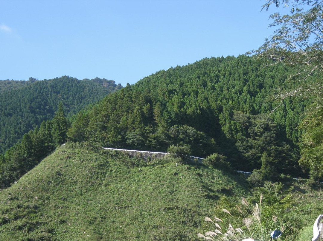 Sasagamine