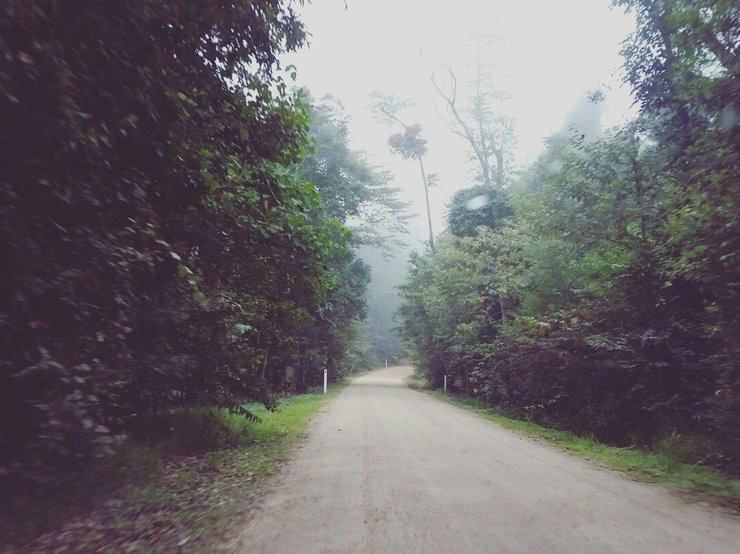 Paluma Rainforest Inn主图