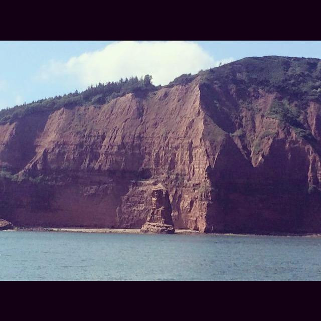 Jurassic Coast Daily Tours-Seaton必去景点