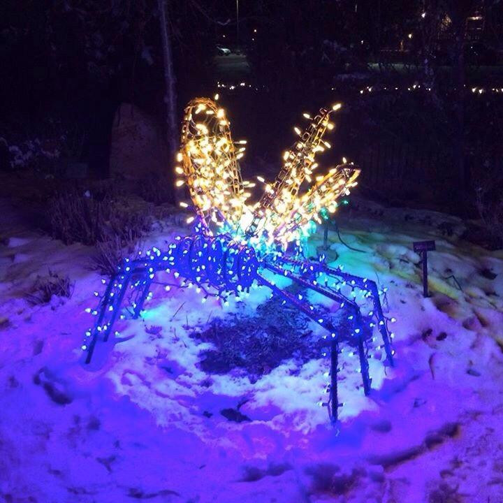Montrose Botanic Gardens景点图片