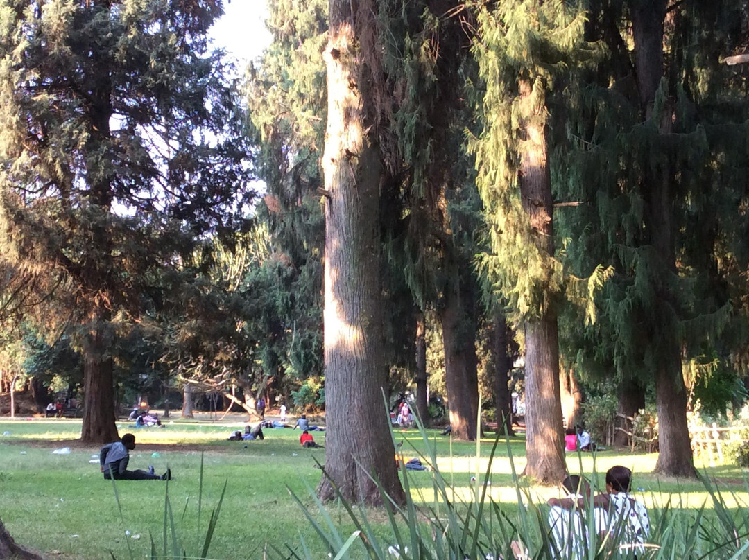 Harare Gardens景点图片