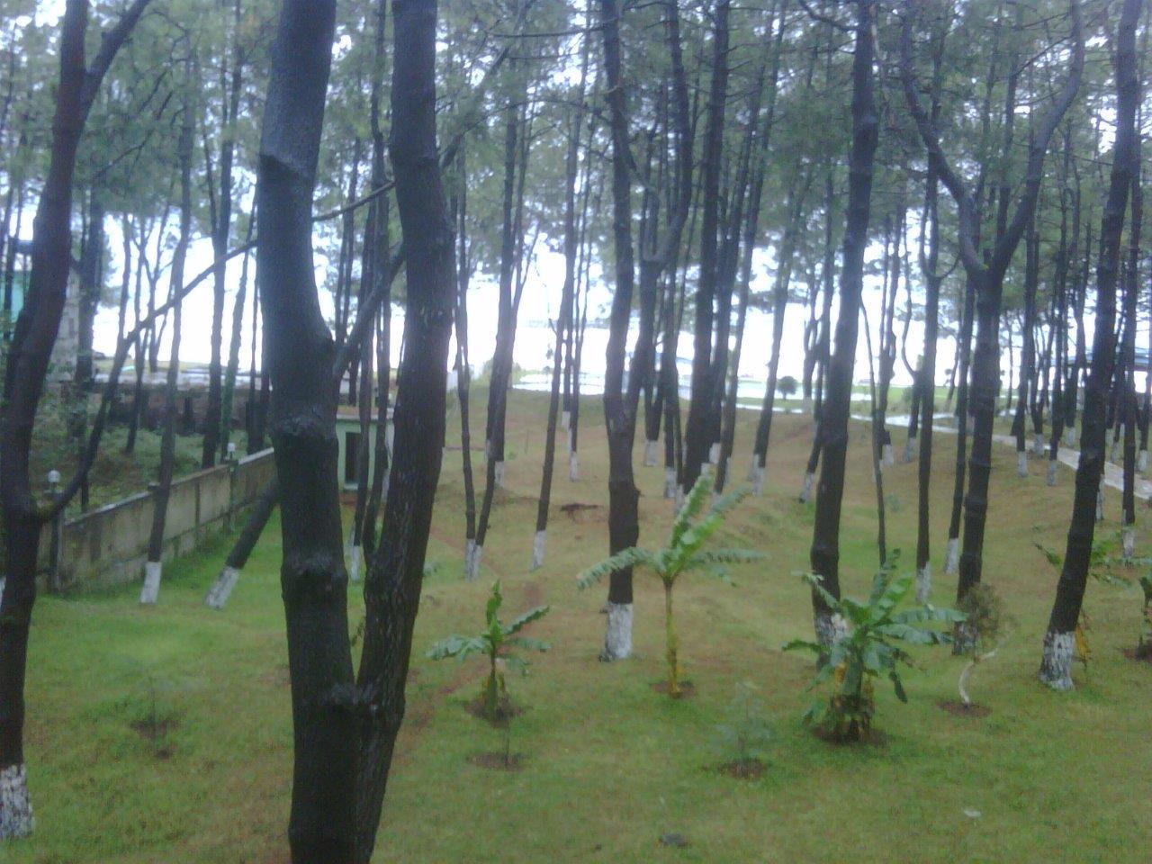 Andamati Beach Resort-浴室