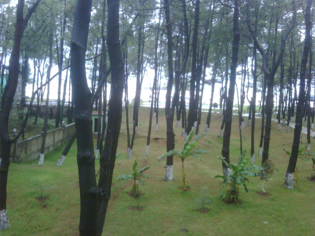 Andamati Beach Resort主图