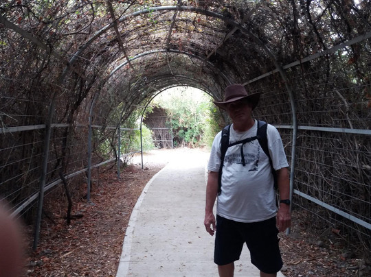 The Betekha, Bethsaida, Majrase and Zaki Nature Reserve-加利利必去景点