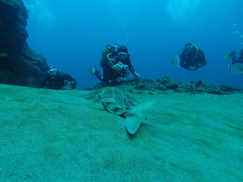 Techno Diving Lanzarote