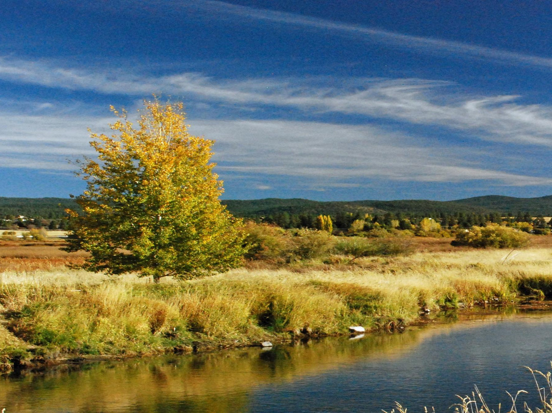 Wood River Wetland-克拉马斯福尔斯必去景点