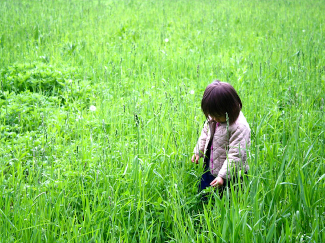 Denison Pequotsepos Nature Center-神秘河必去景点