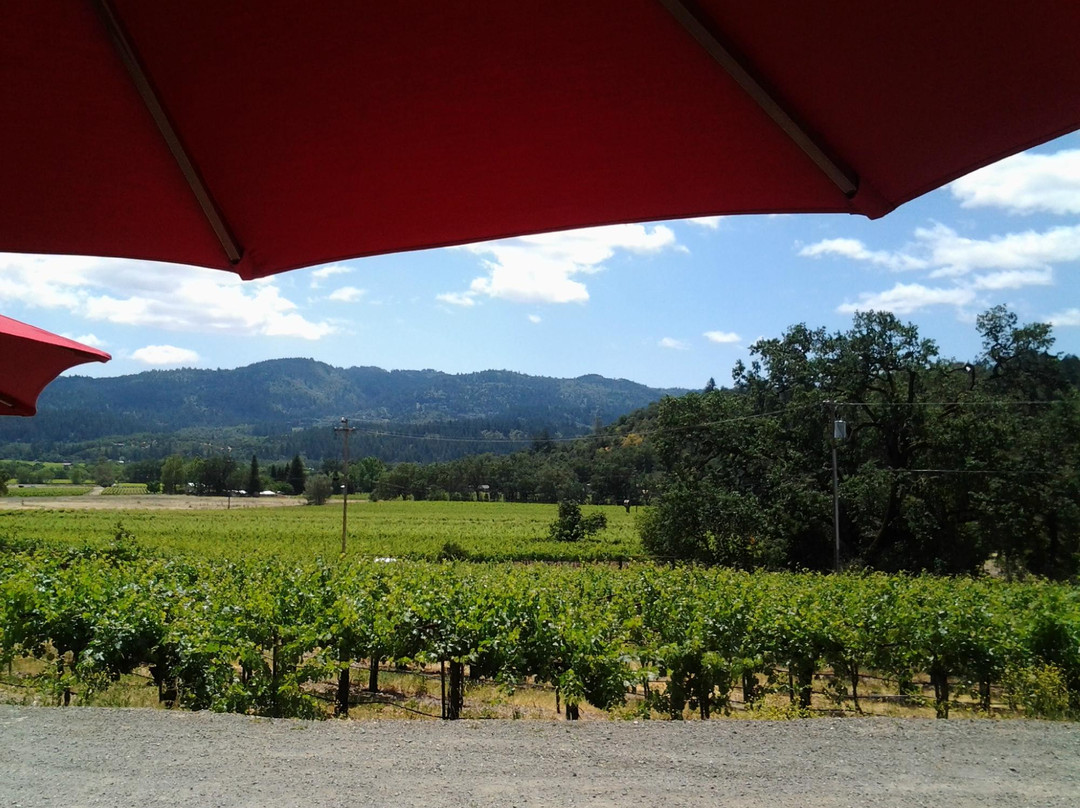 Stacy's Wine Tours景点图片