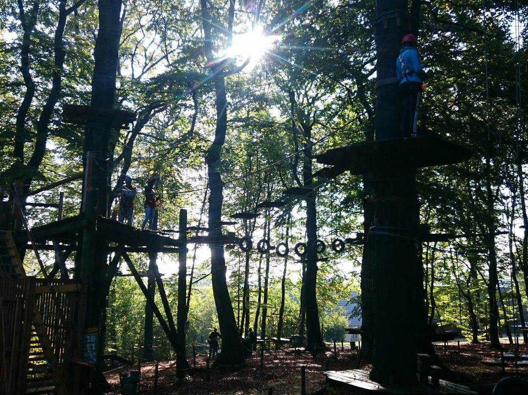 Kletterpark Detmold景点图片
