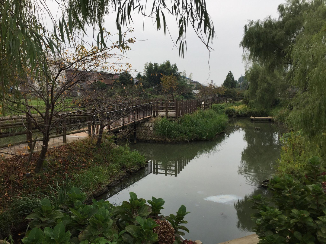 Nagashima Yasuragi Park-桑名市必去景点