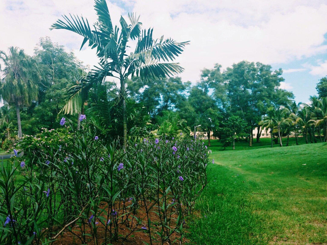 Botanical Gardens-劳托卡必去景点