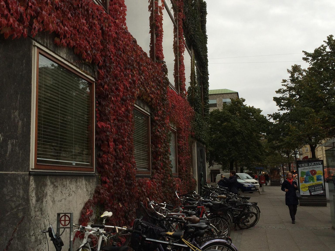 Minderelief For Ole Romer-欧胡斯必去景点