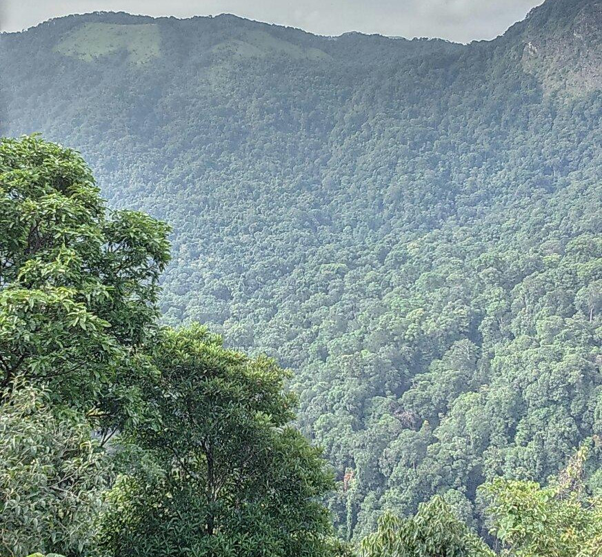 Ketti Valley View Point景点图片