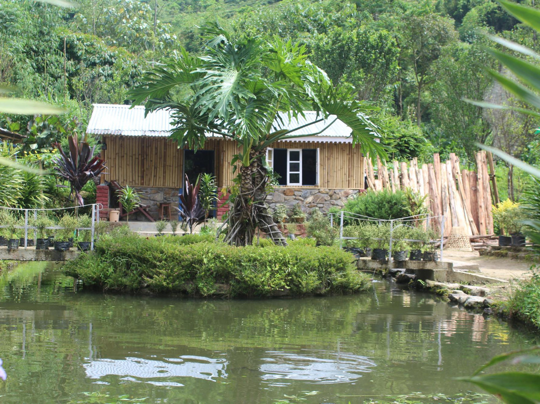 Tea Garden View-大吉岭必去景点