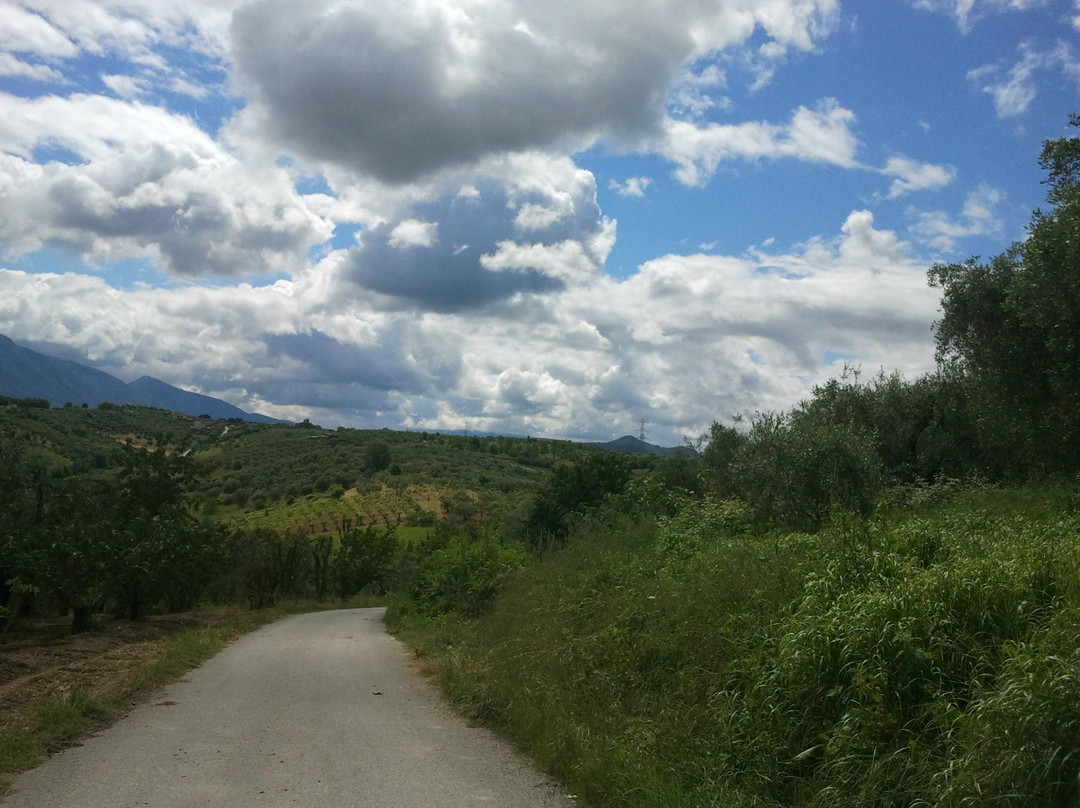 Riserva Naturale Macchia景点图片