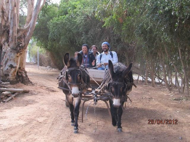 伍斯特旅游景点-Worcester Museum