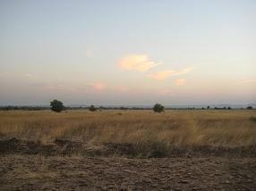 Rollapadu Wildlife Sanctuary-Kurnool必去景点