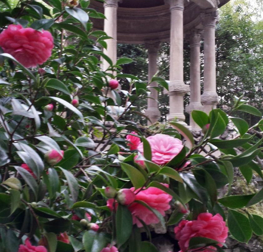 Villa Masini-蒙泰瓦尔基必去景点