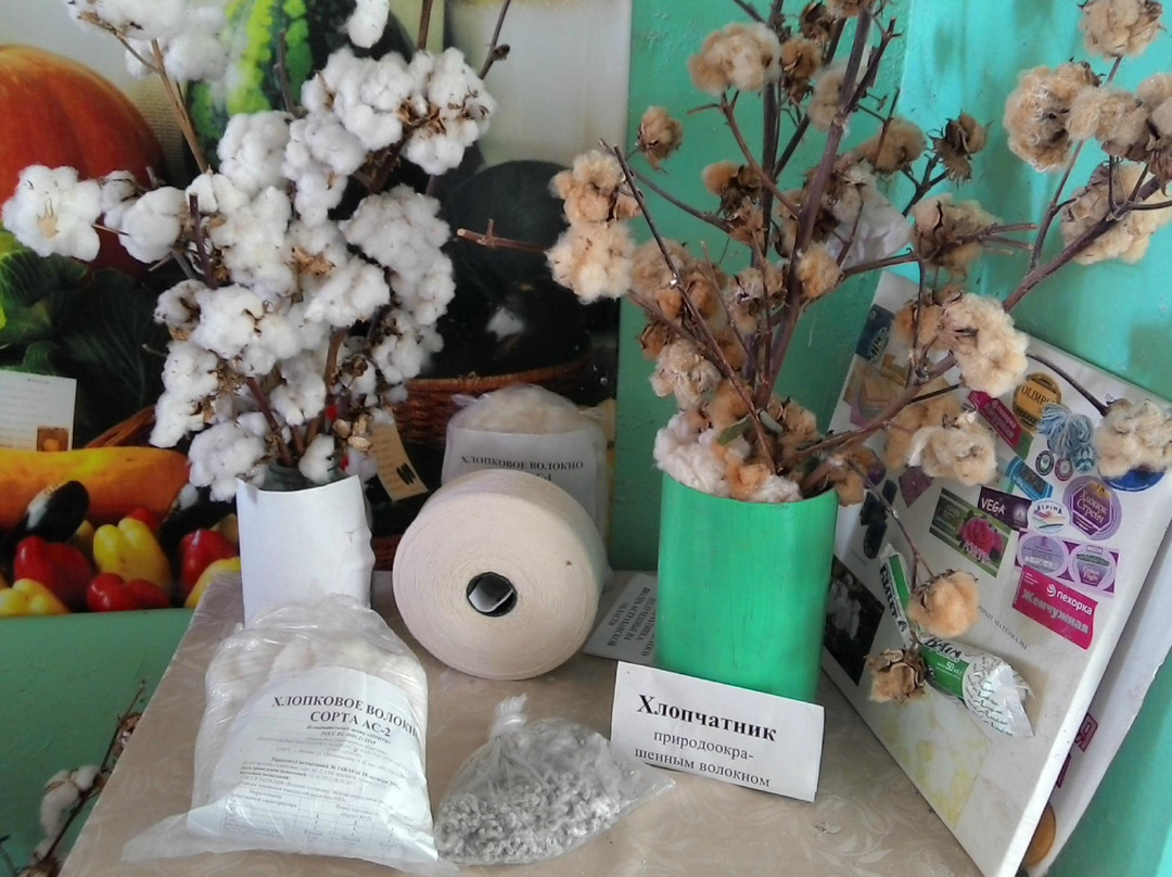 Russian Watermelon Museum (Rossiyskiy Arbuz)-Kamyzyak必去景点